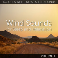 Tmsoft's White Noise Sleep Sounds - Wind Sounds for Sleep and Relaxation Volume 4