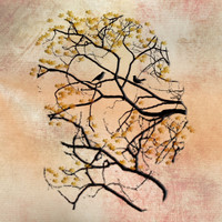 Tamba - Herbstpanorama