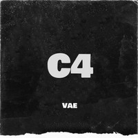 VAE - C4 (Explicit)