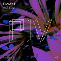Timmy P - NYE Soul