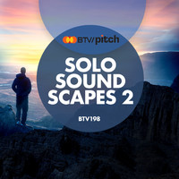 Bob Bradley, Harrison Stanford - Solo Soundscapes 2