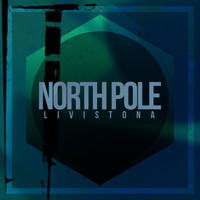 Livistona - North Pole