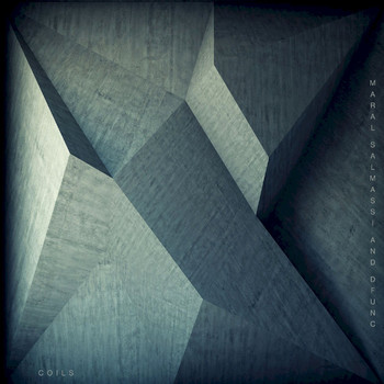 Maral Salmassi, D_func. - Coils