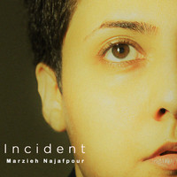 Marzieh Najafpour - Incident