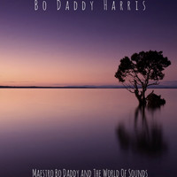 Bo Daddy Harris - Maestro Bo Daddy and The World of Sounds