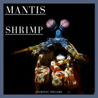 Dominic Delore - Mantis Shrimp