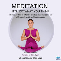 Dr Denis McBrinn - Meditation; It's Not What You Think (feat. Sara Dylan)