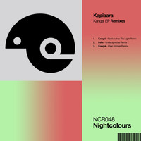 Kapibara - Kangal EP Remixes