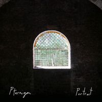 Ptarmigan - Portrait