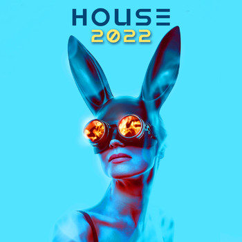 DJ Acid Hard House - House 2022