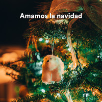 Navidad Acústica, Coro Infantil De Navidad, Navidad Sonidera - Amamos la Navidad