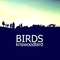 Kris Woodbird - Birds