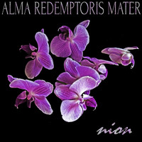 Nion - Alma Redemptoris Mater