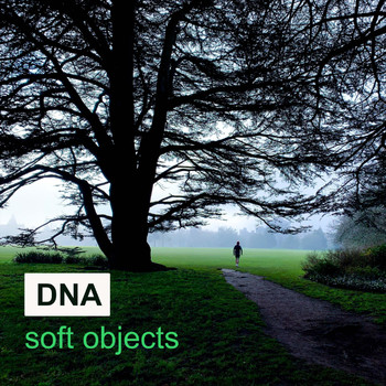 DNA - Soft Objects