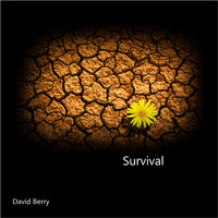 David Berry - Survival