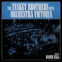 The Teskey Brothers - Live at Hamer Hall