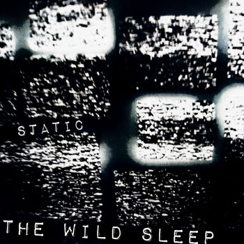 the wild sleep - Static