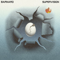 Barnard - Supervision