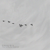 Gardenia - Meadow of Heaven (Acoustic Version Live [Explicit])
