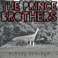 The Prince Brothers - Making Strange