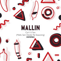 Mallin - Can't U See (Mallin & Sam Dexter Re-Seasoning)