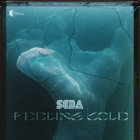 Seda - Feeling Cold