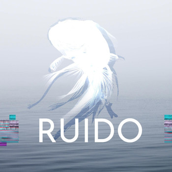 Ruido - Ruido