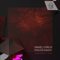 Daniel Eyrich - Endless Insight