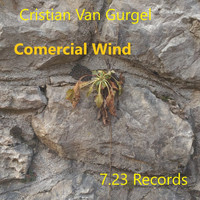 Cristian Van Gurgel - Comercial Wind