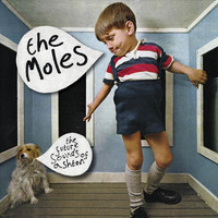 The Moles - The Future Sounds Of Ashton