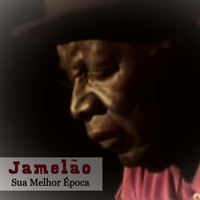 Jamelão - Sua Melhor Época