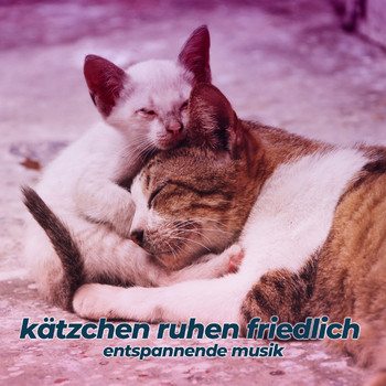 Various Artists - Kätzchen ruhen friedlich (Entspannende Musik)