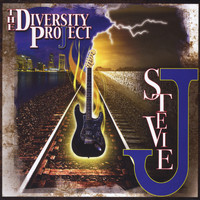 Stevie J - The Diversity Project