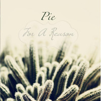Pie - For A Reason (Explicit)