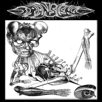 Transient - Split 7" with Superbad