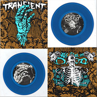 Transient - Split 7" with This Runs on Blood