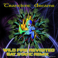 Trancient Dreams - Wild Fire Revisited (Eat Static Remix 2010)