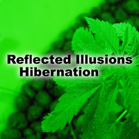 Reflected Illusions - Hibernation