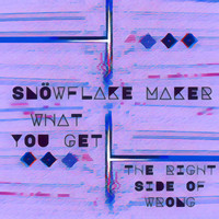 Snowflake Maker - What You Get // The Right Side of Wrong