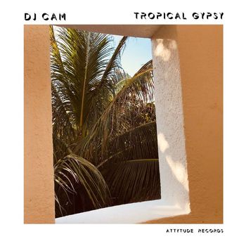 Dj Cam - Tropical Gypsy (Explicit)
