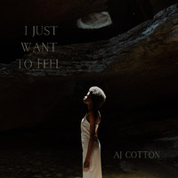 AJ Cotton - I Just Want To Feel