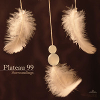 Plateau 99 - Surroundings (Continuous Album Mix)