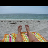Stingrays - Ocean View
