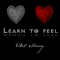 Vital Mezery - Learn to Feel (Explicit)