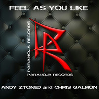 Andy Ztoned & Chris Galmon - Feel as You Like