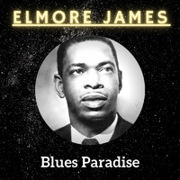 Elmore James - Blues Paradise
