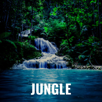 Various Artists - Jungle