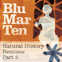 Blu Mar Ten - Natural History Remixes, Pt. 2