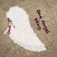 Jay Stott - One Angel Wing