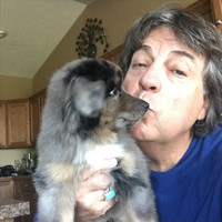 Joe Stone - Everyone Should Have a Dog